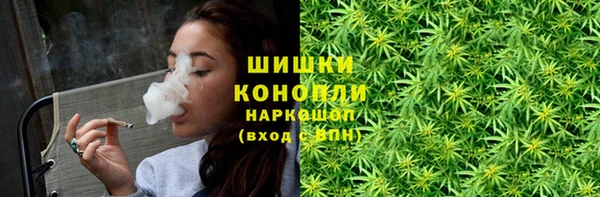 дживик Медногорск