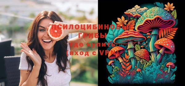 дживик Медногорск