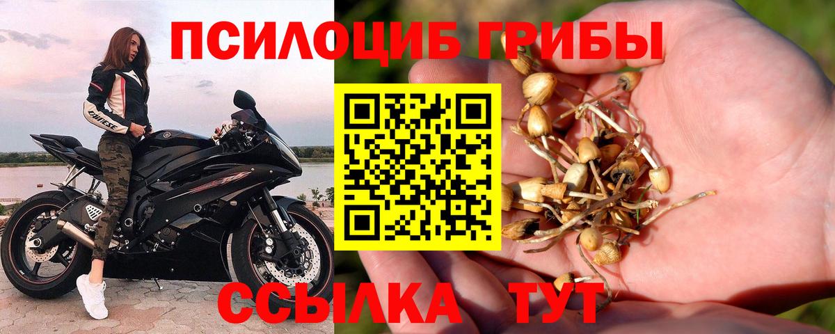 Псилоцибиновые грибы Psilocybe  Псилоцибиновые грибы Cubensis  наркошоп  Киреевск  Вход с VPN 